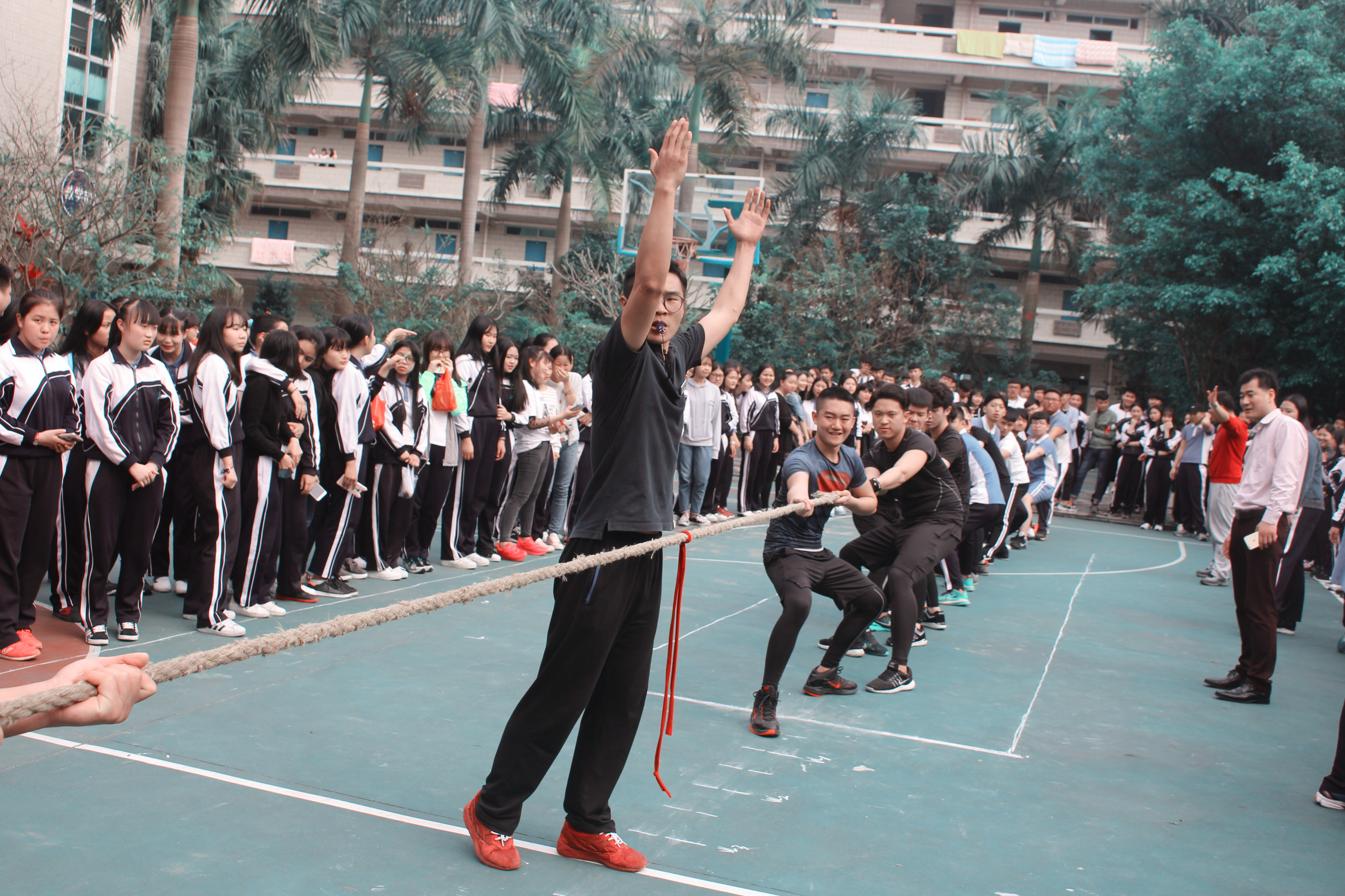圖片